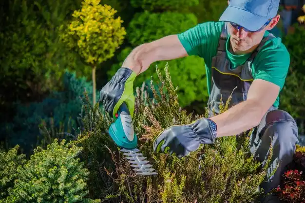 landscaping services Destrehan